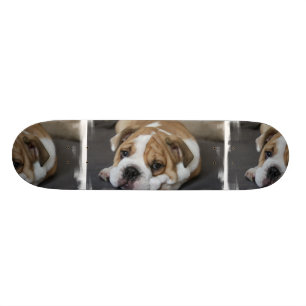 Skateboard Bouledogue Endormi