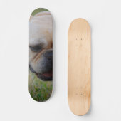 Skateboard Bouledogue français (Recto)