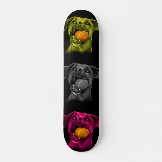 Skateboard boxer chien pop art 8173 bb (Devant)