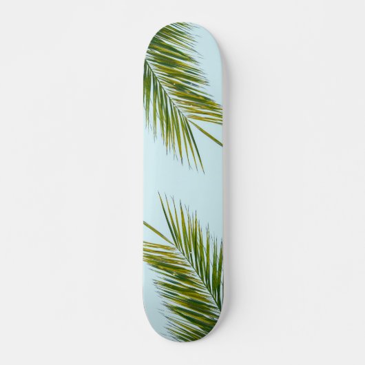 Skateboard Branche de palmier (Devant)