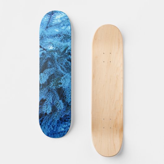 Skateboard Branches d'épinette recouvertes de cristaux de nei (Recto)