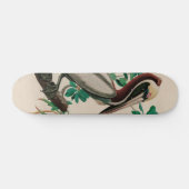 Skateboard Brown Pelican Birds of America Audubon (Horz)
