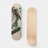 Skateboard Brown Pelican Birds of America Audubon (Recto)