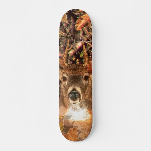 Skateboard Buck in Fall Camo White Tail Deer (Devant)
