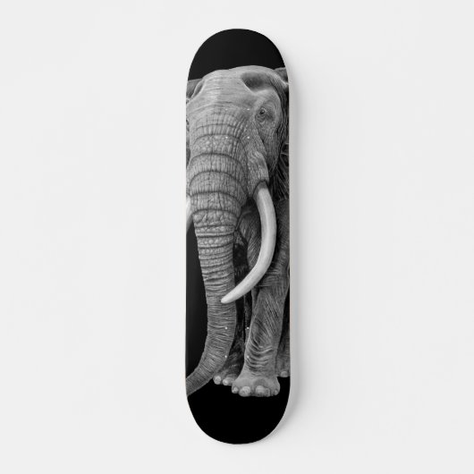 Skateboard Bull elephant (Devant)