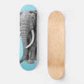 Skateboard Bull elephant (Recto)