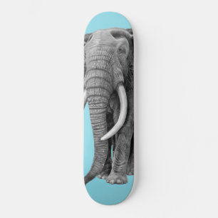 Skateboard Bull elephant