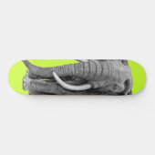 Skateboard Bull elephant (Horz)