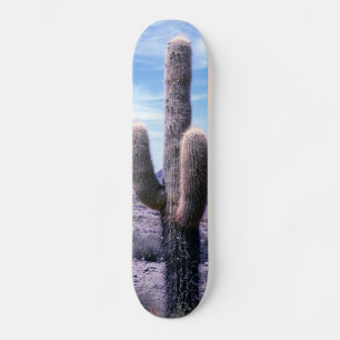 Skateboard Cactus in Jujuy Province - Northern Argentina