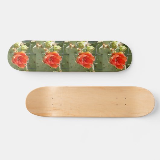Skateboard Cactus Patinage dur et beau (Horz)