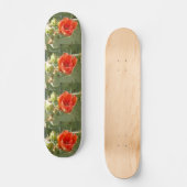 Skateboard Cactus Patinage dur et beau (Recto)