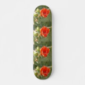 Skateboard Cactus Patinage dur et beau (Devant)