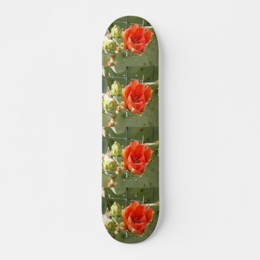 Skateboard Cactus Patinage dur et beau (Devant)