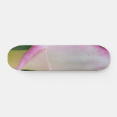 Skateboard Calla Pano (Horz)