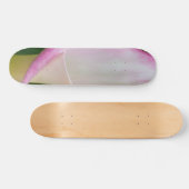 Skateboard Calla Pano (Horz)