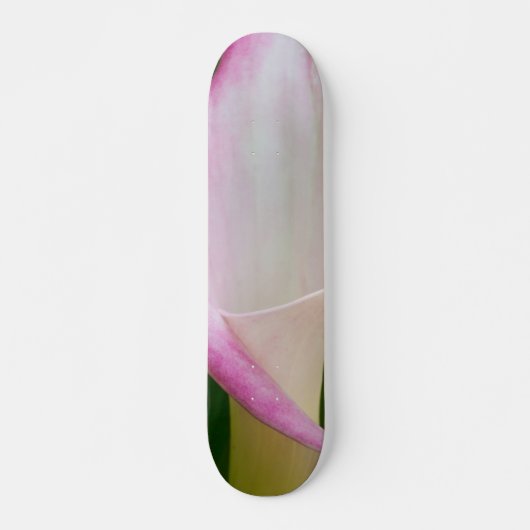 Skateboard Calla Pano (Devant)