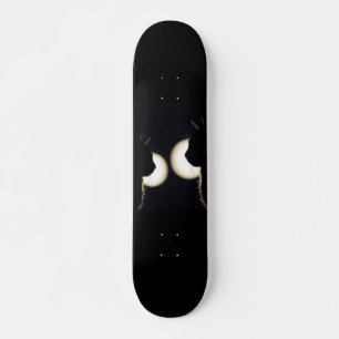 Skateboard Cambrioleurs de chats localisés