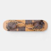 Skateboard Camel avec une drôle d'expression faciale - Oman (Horz)