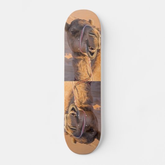 Skateboard Camel avec une drôle d'expression faciale - Oman (Recto)