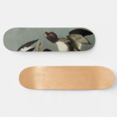 Skateboard Canard de mer à oeil doré (Horz)