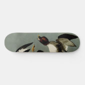 Skateboard Canard de mer à oeil doré (Horz)