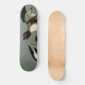 Skateboard Canard de mer à oeil doré (Recto)
