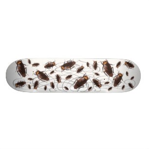 Skateboard Cancrelat