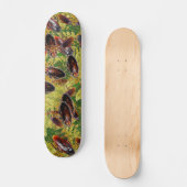 Skateboard Cancrelats (Recto)