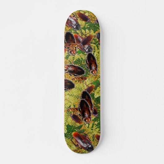 Skateboard Cancrelats (Devant)