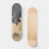 Skateboard Canis (Recto)
