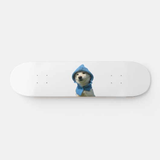 Skateboard captivité (Horz)