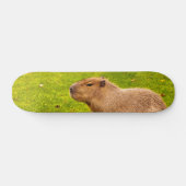 Skateboard Capybara (Horz)
