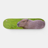 Skateboard Capybara Extraordinaire (Horz)
