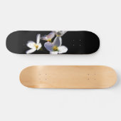 Skateboard Cardamine Pratensis Fleurs sdcna (Horz)