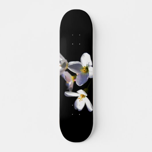 Skateboard Cardamine Pratensis Fleurs sdcna (Devant)