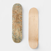 Skateboard Carte 1909 d'Adirondacks du guide du voyage du Bae (Recto)