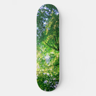 Skateboard Carte à roulettes LiveGreen