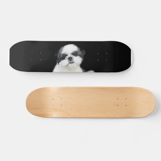 Skateboard Carte à roulettes Shih Tzu (Horz)