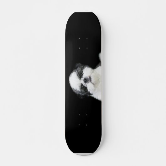 Skateboard Carte à roulettes Shih Tzu (Devant)