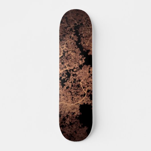 Skateboard Carte des arbres 5 (Devant)