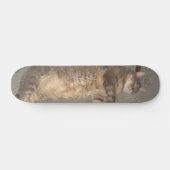 Skateboard Carte FatCat (Horz)