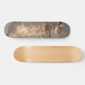 Skateboard Carte FatCat (Horz)