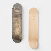 Skateboard Carte FatCat (Recto)