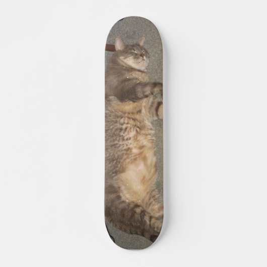 Skateboard Carte FatCat (Devant)