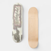 Skateboard Carte vintage des îles des Caraïbes (1815) (Recto)