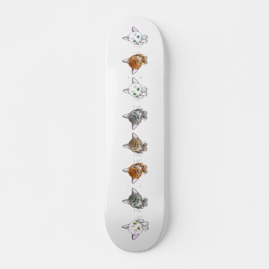 Skateboard Cat-1 (Devant)