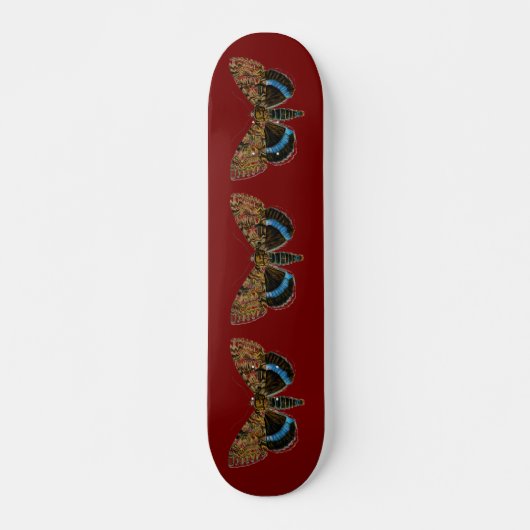 Skateboard Catocala fraxini (Devant)