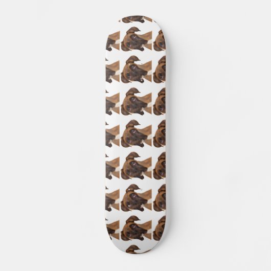 Skateboard Ce qui Woof ? (Recto)