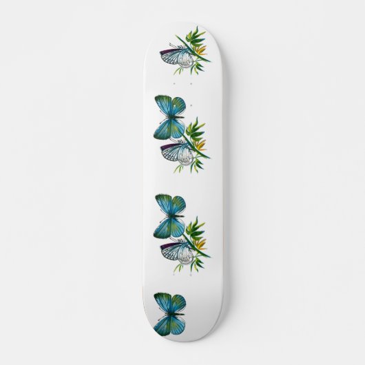 Skateboard Celastrina argiolus (mâle) (Devant)