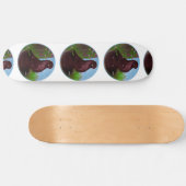 Skateboard Cercle rouge de pigeon (Horz)